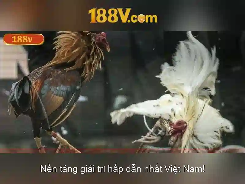 Ảnh trải nghiệm AR/VR trong môi trường 5G